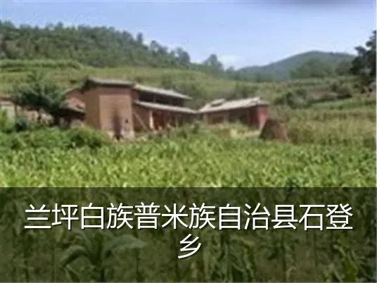 兰坪白族普米族自治县石登乡