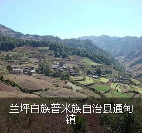 兰坪白族普米族自治县通甸镇